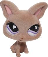#0461 Chihuahua